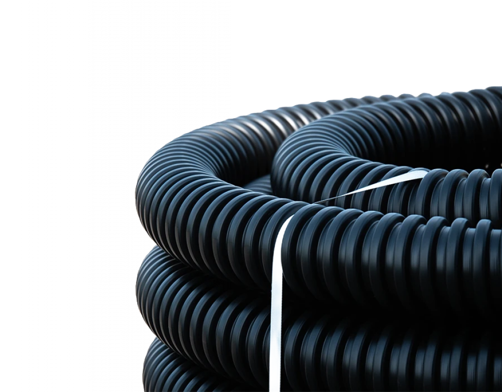 110610-00006 110610-00006